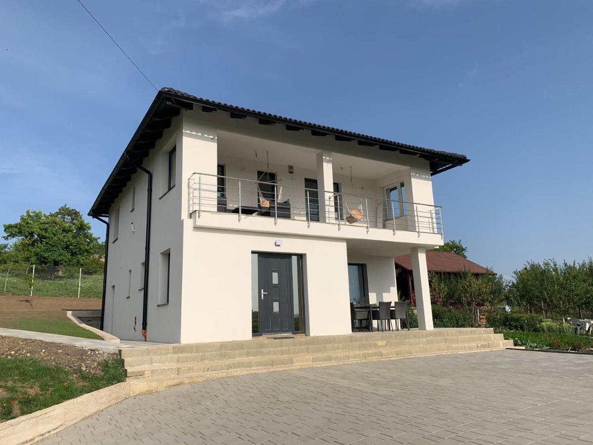 오도르헤이우세쿠이에스크 Viktoria House 빌라 외부 사진