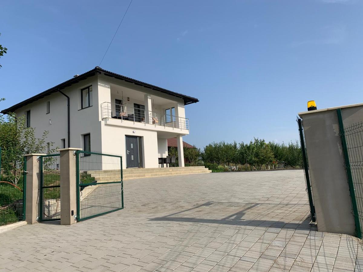 오도르헤이우세쿠이에스크 Viktoria House 빌라 외부 사진